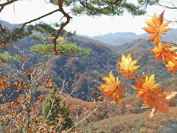 大专学历考佛山公务员难吗,大专学历考佛山公务员难吗知乎